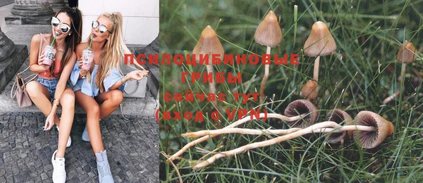 амф Зерноград