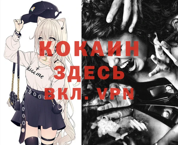 spice Зеленодольск